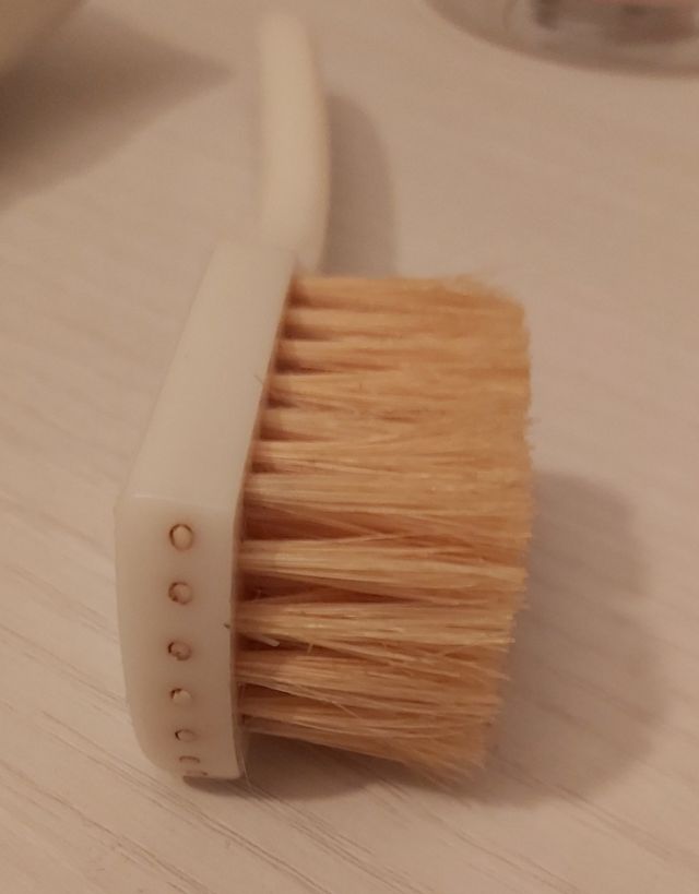 Pennello vintage del Francis Institute