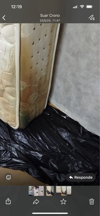 Limpieza colchones: individual, matrimonio, canapé