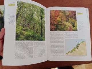 Naturaleza de España