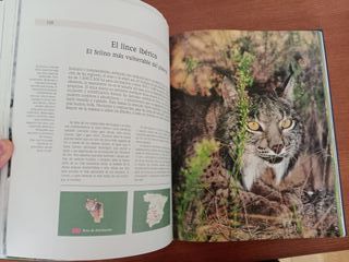 Naturaleza de España