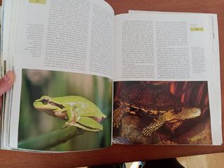 Naturaleza de España