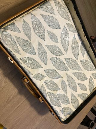 Cuccia vintage per cani o gatti