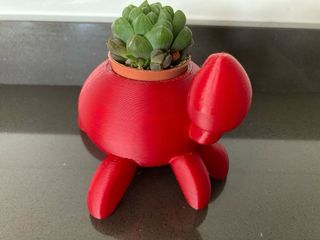 Vaso piante granchio rosso stampato in 3D