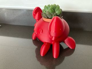 Vaso piante granchio rosso stampato in 3D