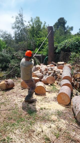 Desbroce de parcelas - Servicio
