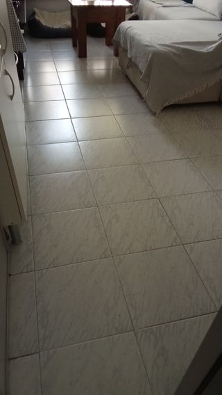 Servicio limpieza hogar