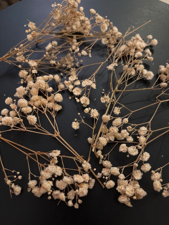 Bracciali con fiori stabilizzati per matrimoni o comunioni