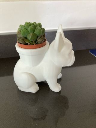 Vaso Cane Bulldog Francese - Bianco stampato in 3D