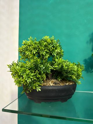 Bonsai artificiale decorativo