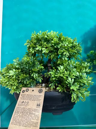 Bonsai artificiale decorativo