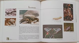 Frondosa Naturaleza. Cazorla. J. Araujo. Felix Rod