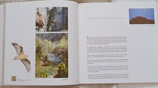 Frondosa Naturaleza. Cazorla. J. Araujo. Felix Rod