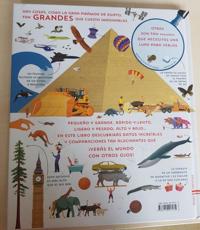 Libro Infantil: El Libro de las Comparaciones