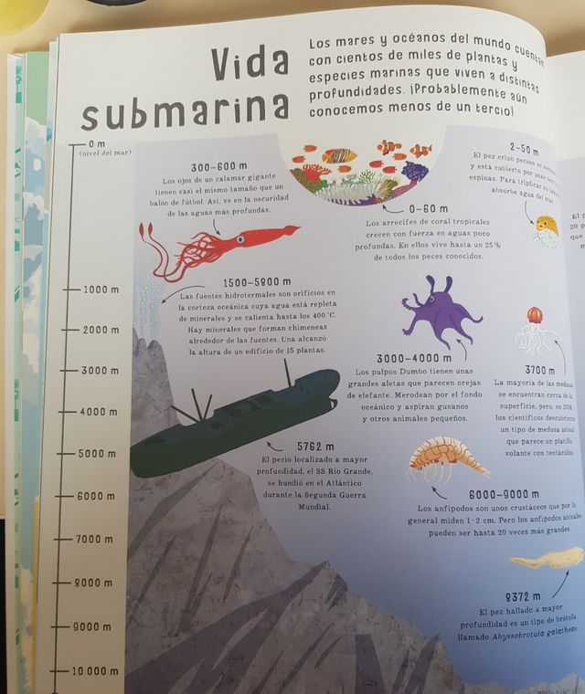 Libro Infantil: El Libro de las Comparaciones