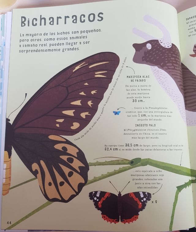 Libro Infantil: El Libro de las Comparaciones