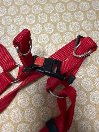 Peitoral para cão Flamingo - Vermelho