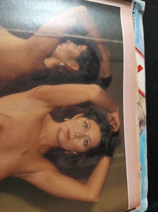 Lote 4 revistas interviu 1981/1984