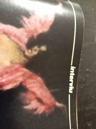 Lote 4 revistas interviu 1981/1984