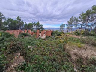 Terreno con vistas a Montserrat