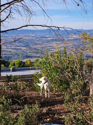Terreno con vistas a Montserrat