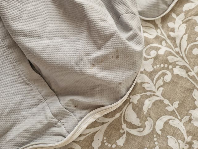 Saco silla bebé - Gris con lunares