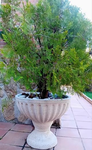 Conjunto jardín 4 sillas y mesa cristal