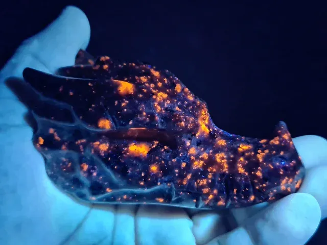 Sodalite 🐉 minerale fluorescente Dragon Head