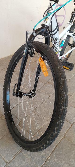 Bicicleta montaña 24"