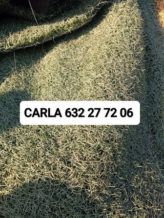 Cesped Reciclado