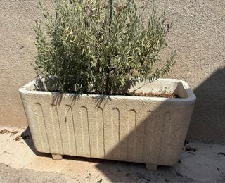 Macetas piedra - Decoración jardín