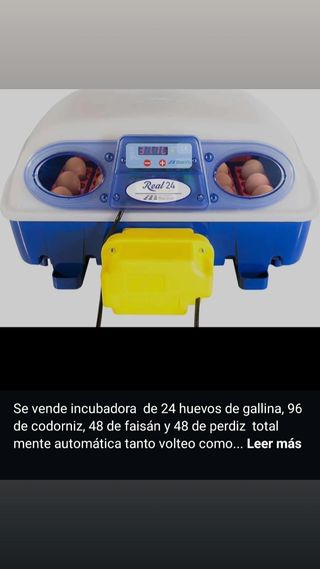 Incubadora Real 24 - Automática