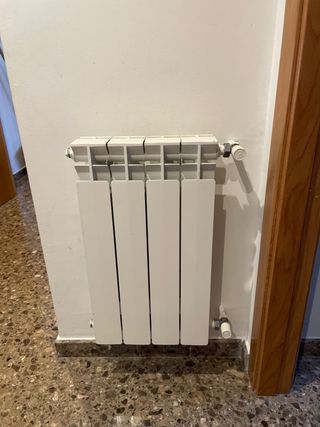 Caldera Saunier Duval - Calefacción