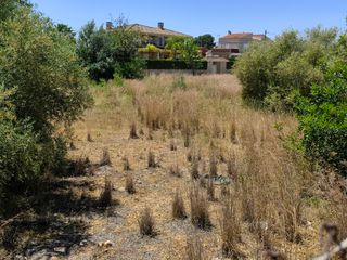 Parcela Urbana Llíria