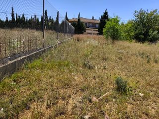 Parcela Urbana Llíria