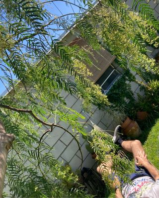 Hamaca Chypre Verde - 275x100cm