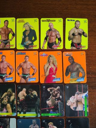 Carte WWE Fluo 2004