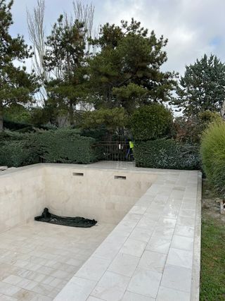 Caliza blanca