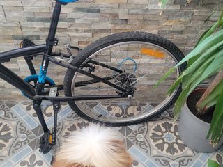 Bicicleta niña 24" BTWIN