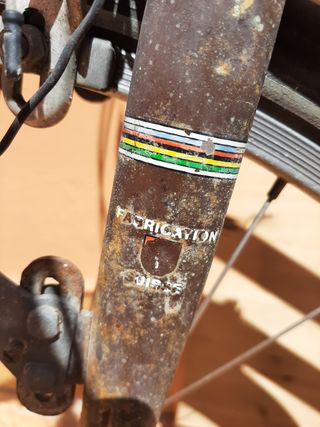 Bicicleta Suisse Vintage