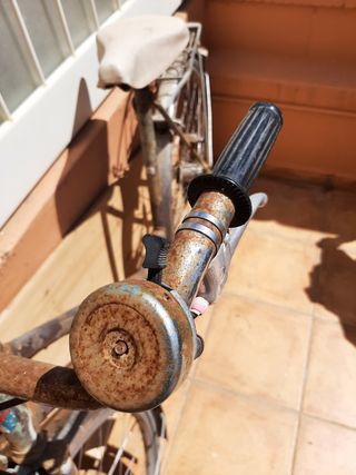 Bicicleta Suisse Vintage