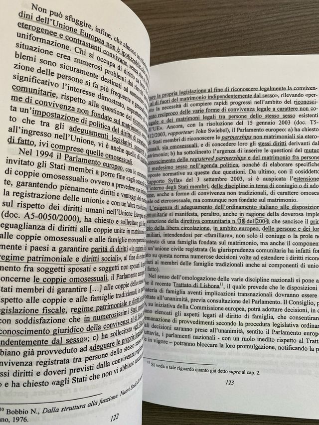 Il diritto che guarda. Rischi della decisione g...