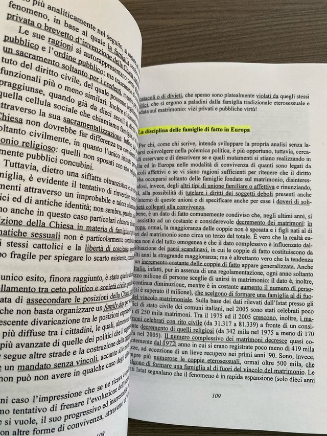 Il diritto che guarda. Rischi della decisione g...