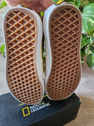 Vans Old Skool National Geographic Edición Limitad