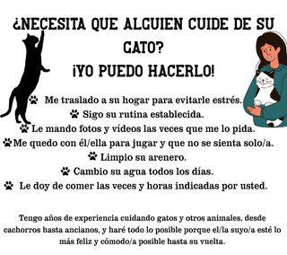 Cuidadora de gatos