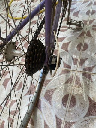 Bicicleta Orbea Sollube Vintage