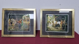 2 Ilustraciones enmarcadas