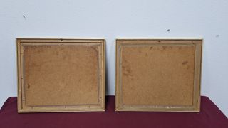 2 Ilustraciones enmarcadas