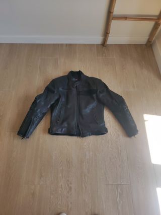 Cazadora moto Dainese