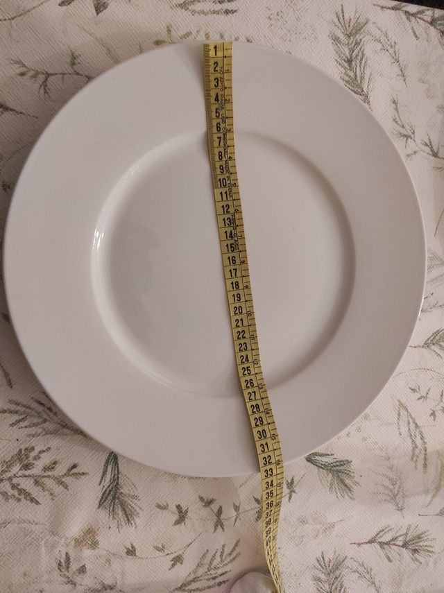 Plato porcelana blanco, el precio es x dos