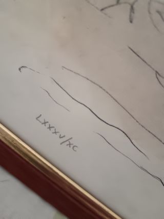 Quadro acquerello Bologna  Nettuno